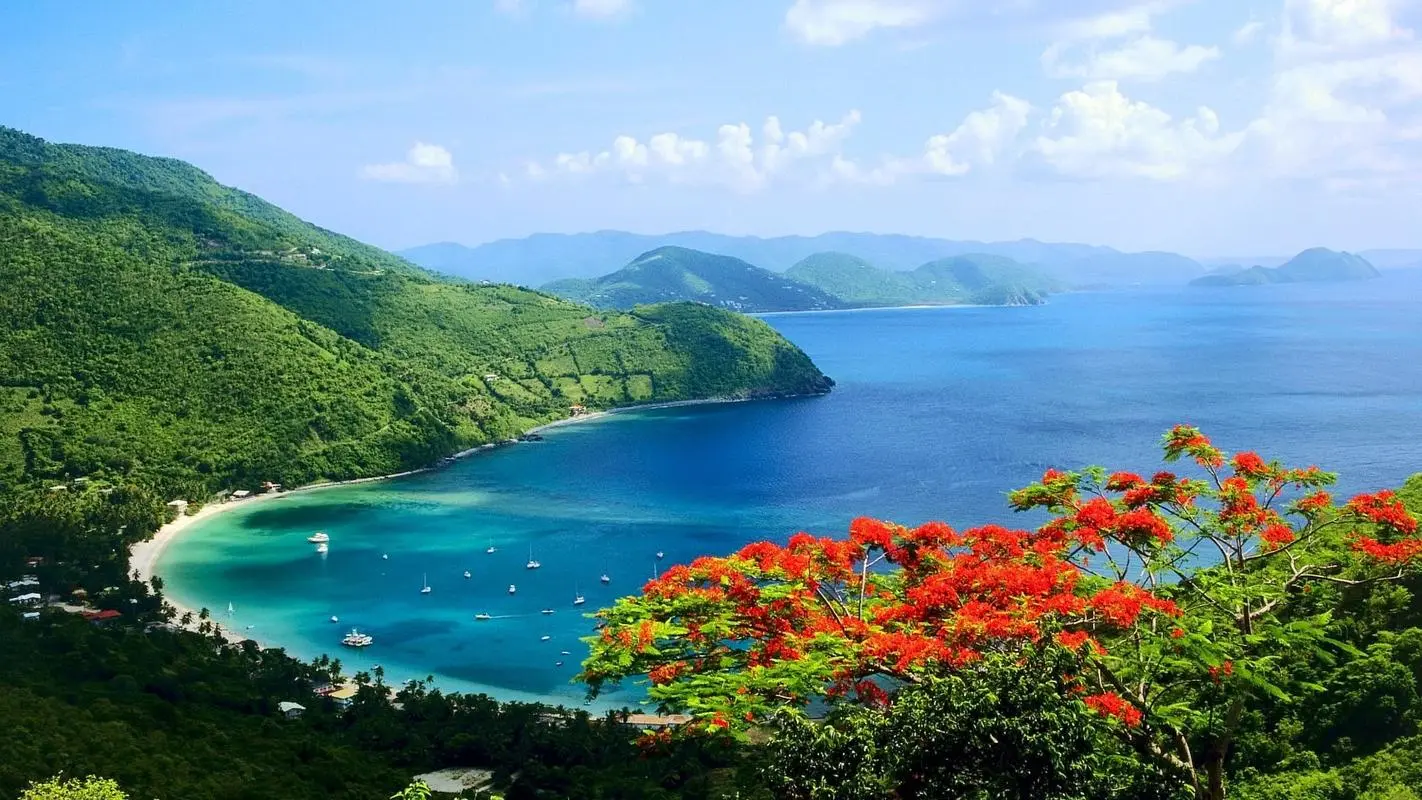 高效全自动智慧